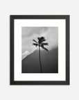 The Coco Palm - 001