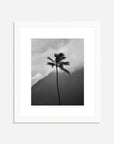 The Coco Palm - 001