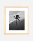The Coco Palm - 001