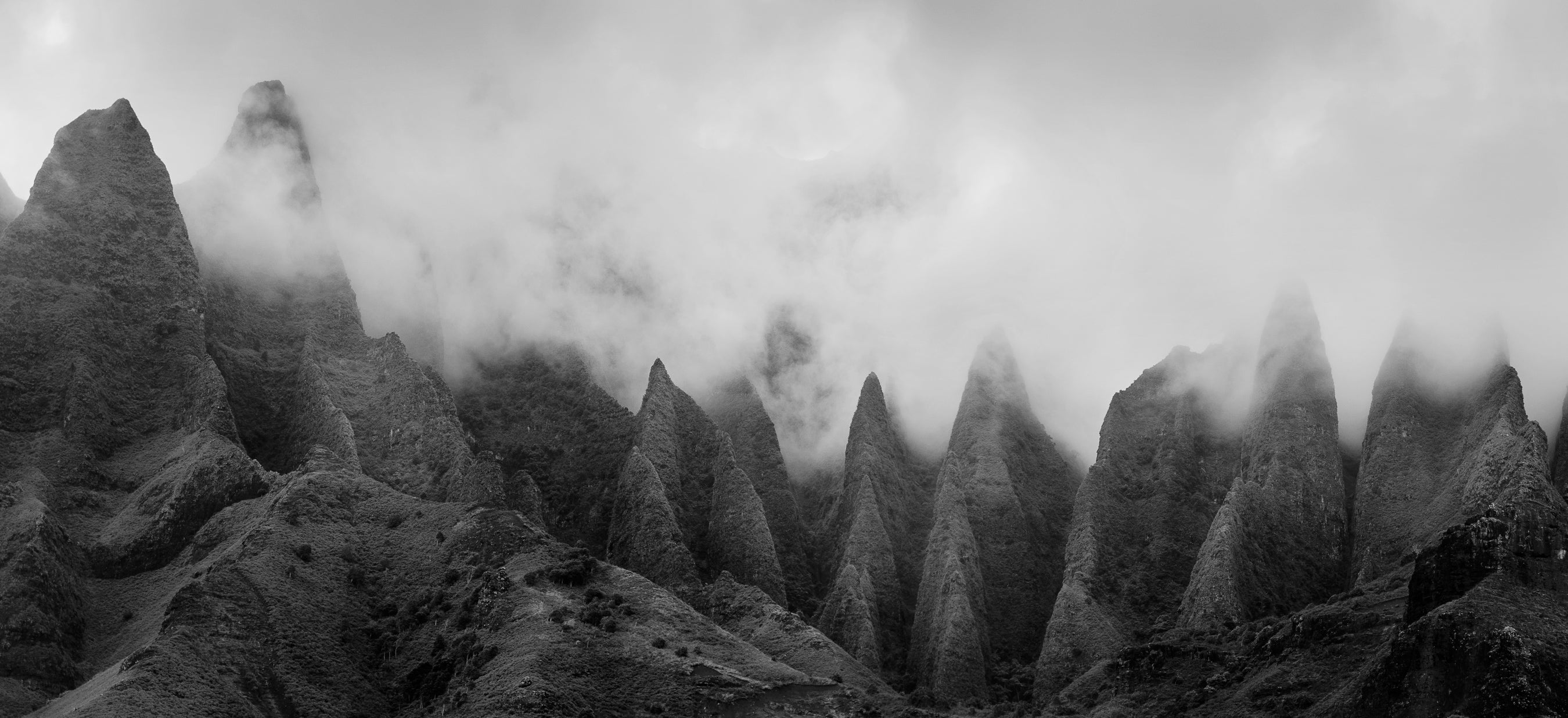 Slideshow Image 5