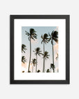 The Coco Palm - 003