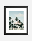 The Coco Palm - 005