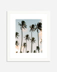 The Coco Palm - 003