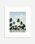 The Coco Palm - 005