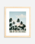 The Coco Palm - 005
